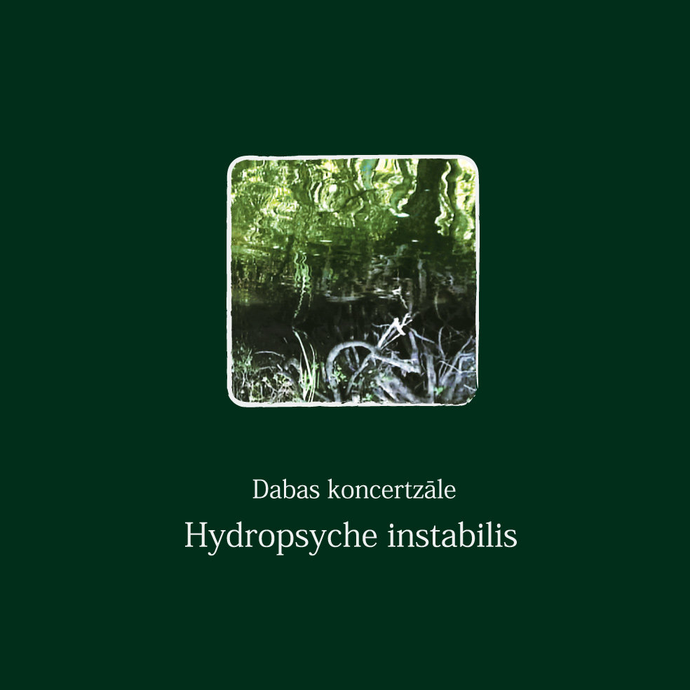 2008_Nature-Concerthall_Hydropsyche-instabilis
