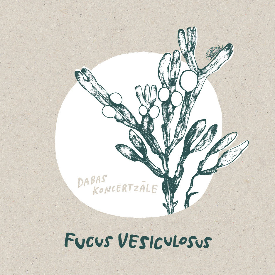 2012_Nature-Concerthall_Fucus-vesiculosus