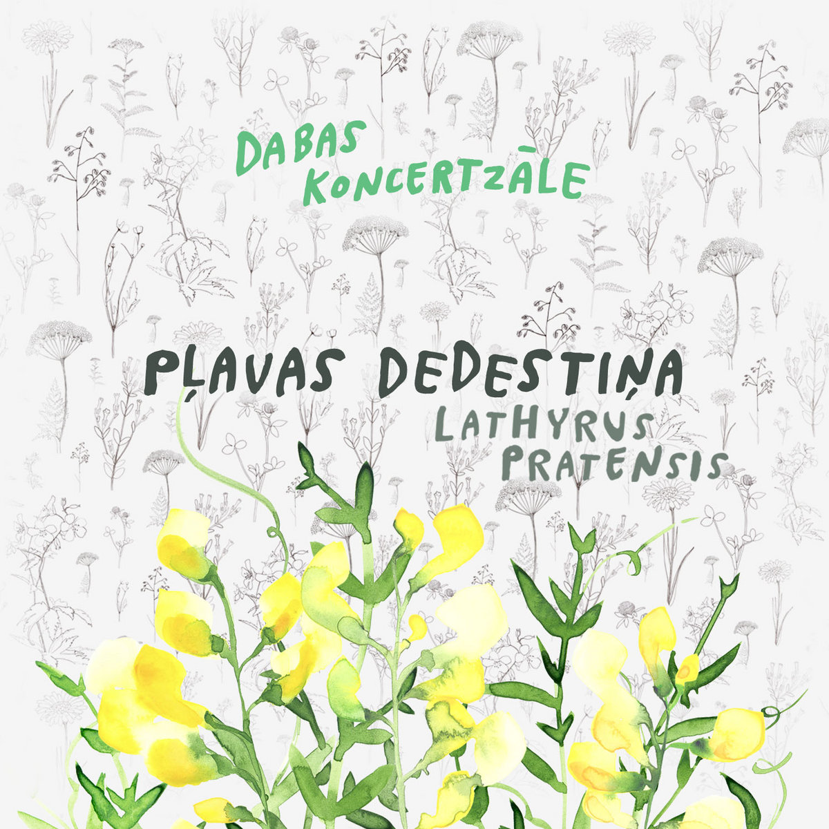 2015_Nature-Concerthall_Lathyrus-pratensis