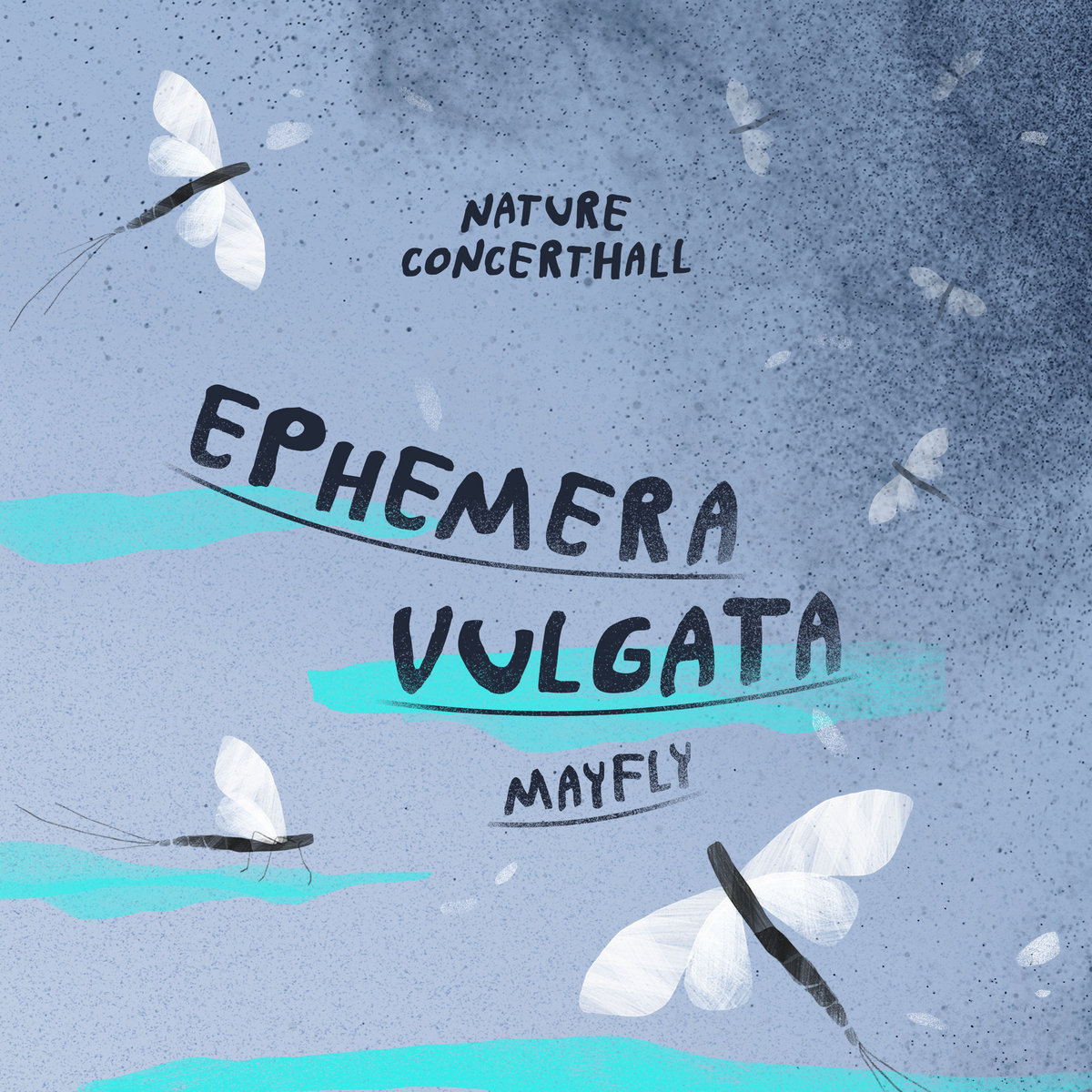 2019_Nature-Concerthall_Ephemera-vulgata
